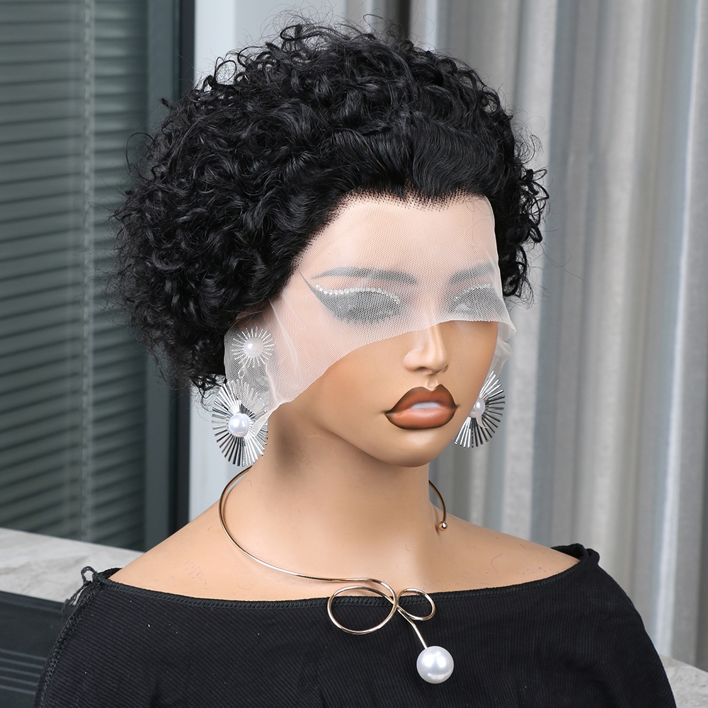 Pixie Cut Wig Human Hair 13x4  - đánh giá và giá Short Pixie Cut Wig Human Hair Cheap