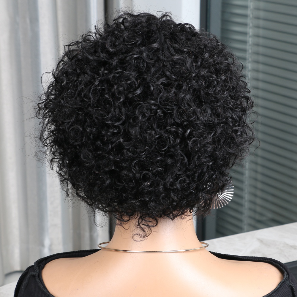 Pixie Cut Wig Human Hair 13x4  - đánh giá và giá Short Pixie Cut Wig Human Hair Cheap